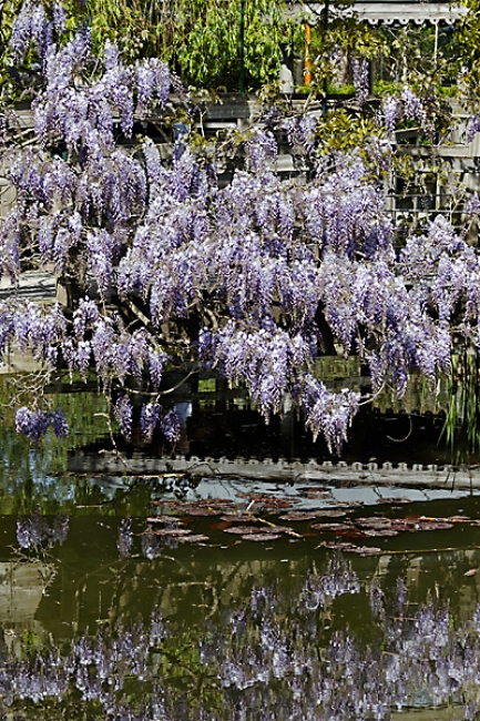 Jardin des Impressionnistes-034